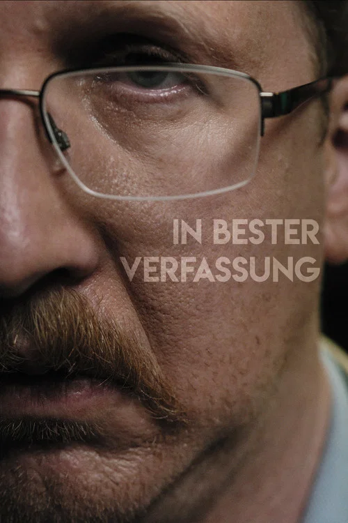 Постер: In bester Verfassung