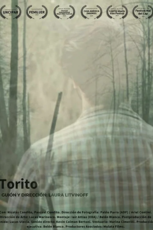 Постер: Торито