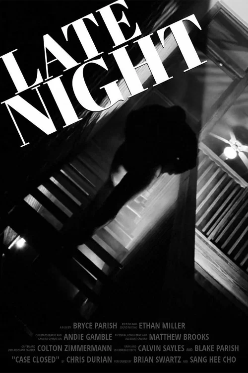 Постер: Late night