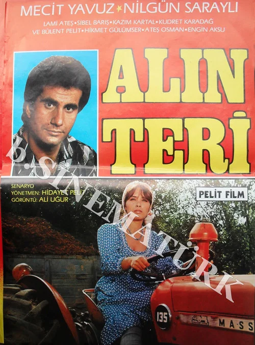 Постер: Alin Teri