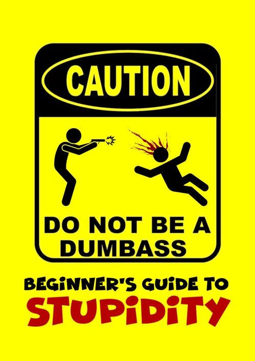Постер: Beginner's Guide to Stupidity