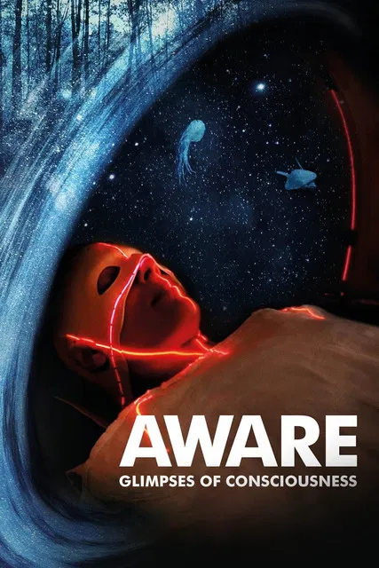 Постер: Aware: Glimpses of Consciousness