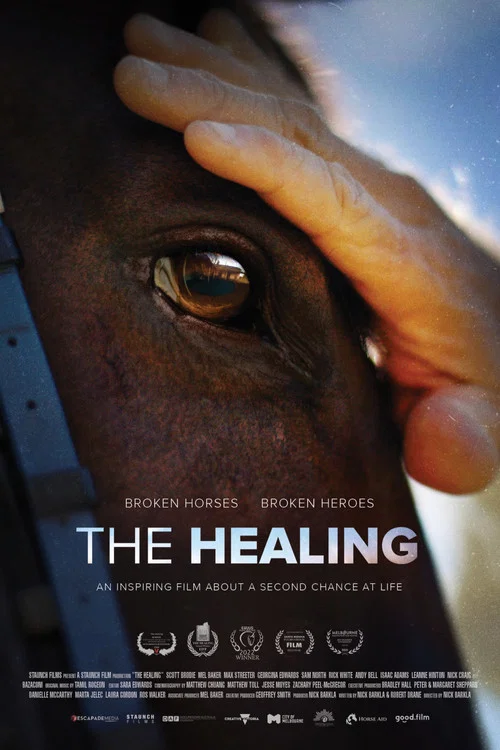 Постер: The Healing