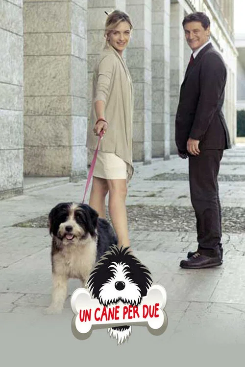 Постер: Un cane per due