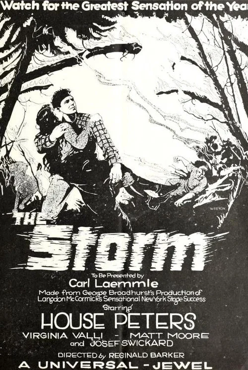 Постер: The Storm