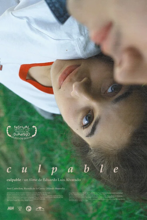 Постер: Culpable