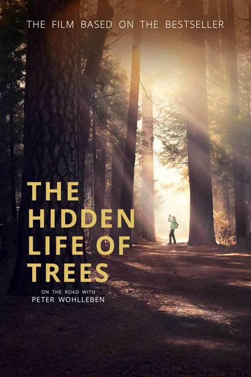 Постер: The Life Tree