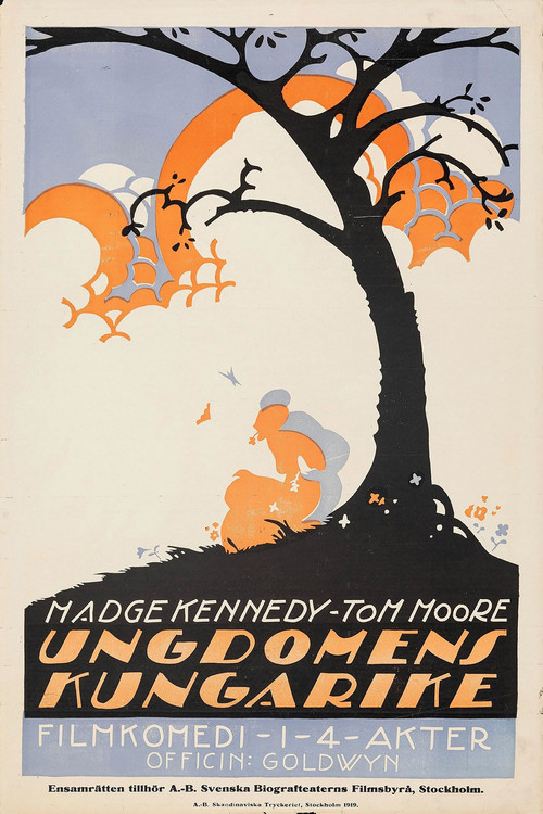 Постер: The Kingdom of Youth