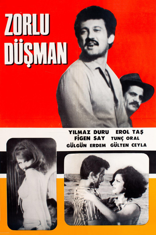 Постер: Zorlu düsman