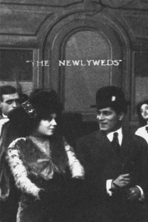 Постер: The Newlyweds