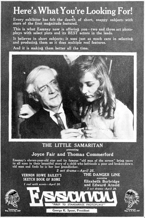 Постер: The Little Samaritan