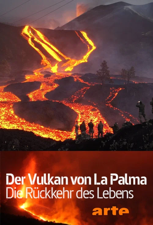 Постер: Der Vulkan von La Palma: Die Rückkehr des Lebens