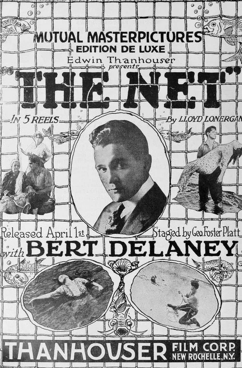 Постер: The Net