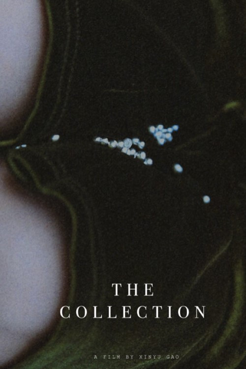 Постер: The Collection