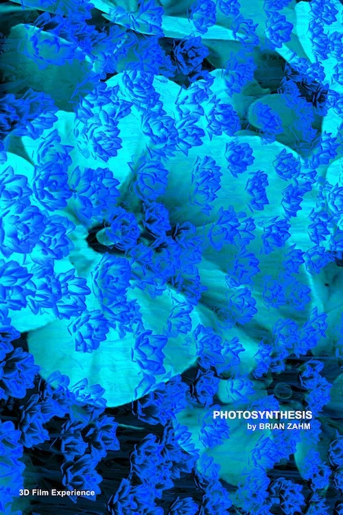 Постер: Photosynthesis