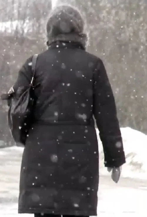 Постер: Snow