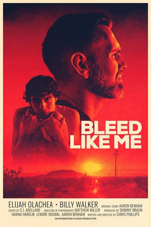 Постер: Bleed Like Me