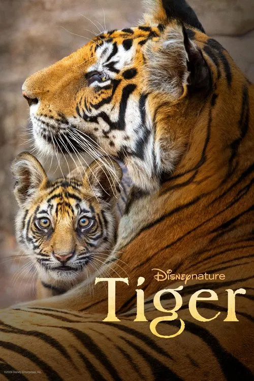 Постер: Tiger