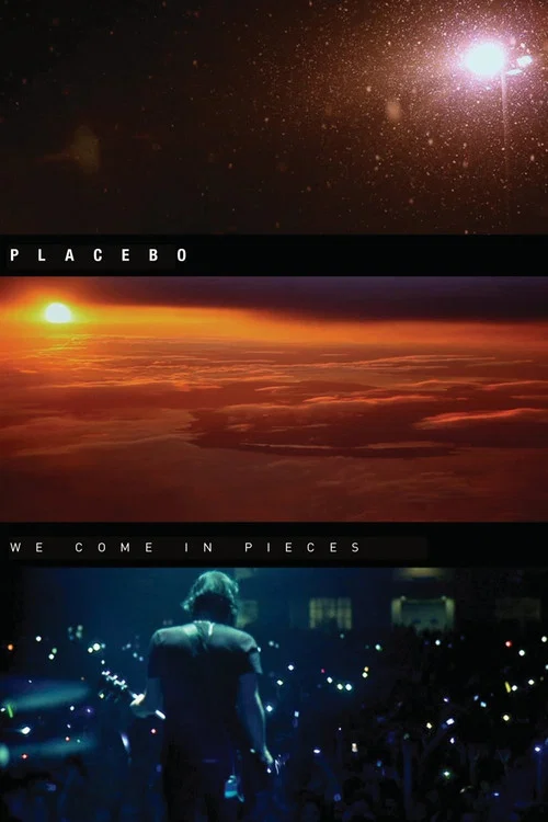 Постер: We Come in Pieces