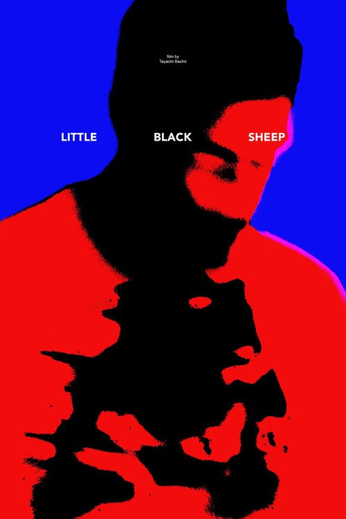 Постер: Little Black Sheep