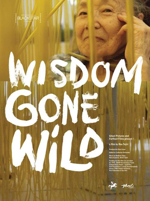 Постер: Wisdom Gone Wild