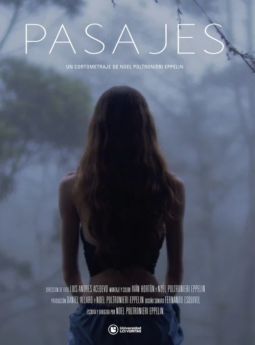 Постер: Pasajes
