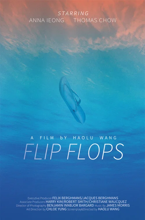 Постер: Flip Flops