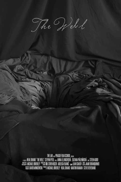 Постер: The Well