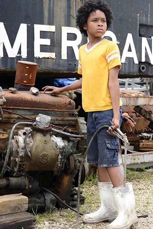 Постер: Plaquemines