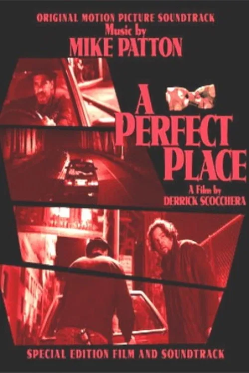 Постер: A Perfect Place