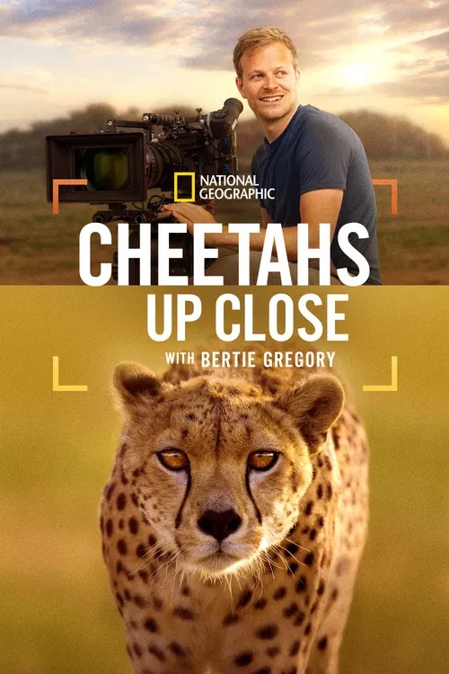 Постер: Cheetahs Up Close with Bertie Gregory