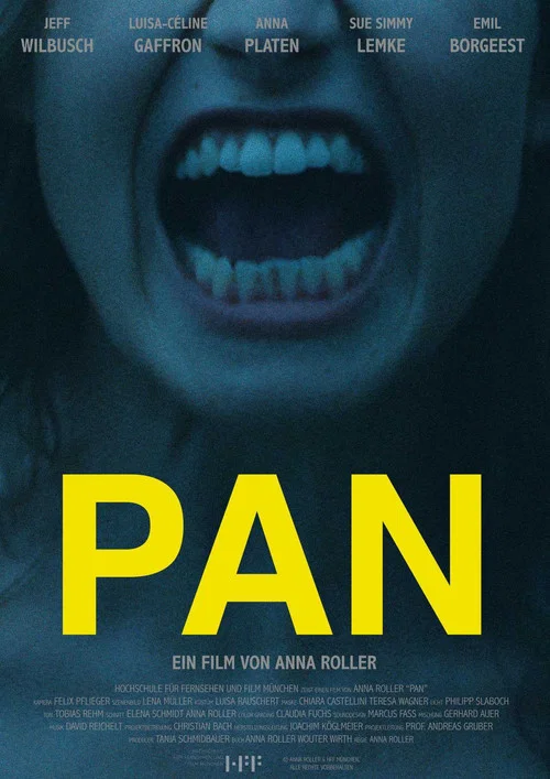 Постер: Pan