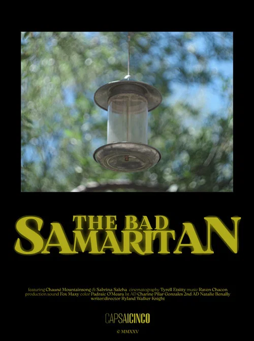Постер: The Bad Samaritan