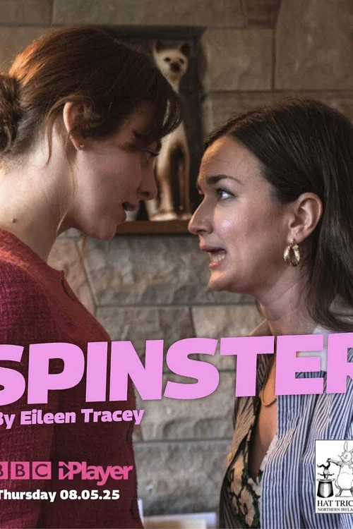 Постер: Spinster