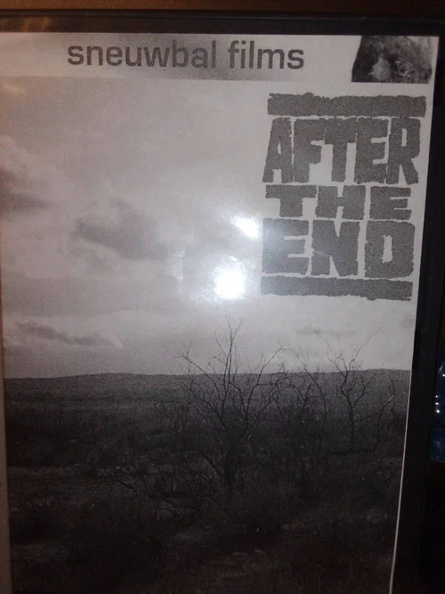 Постер: After the End