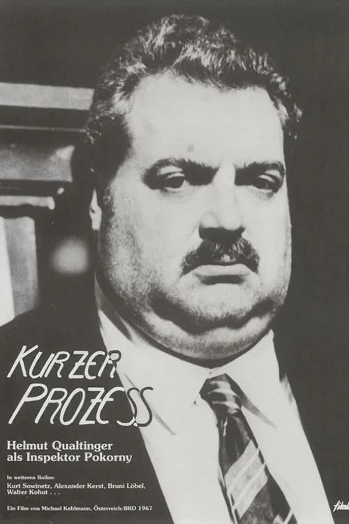 Постер: Kurzer Prozeß