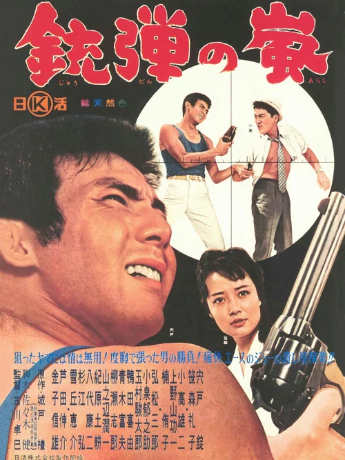 Постер: Jûdan no arashi