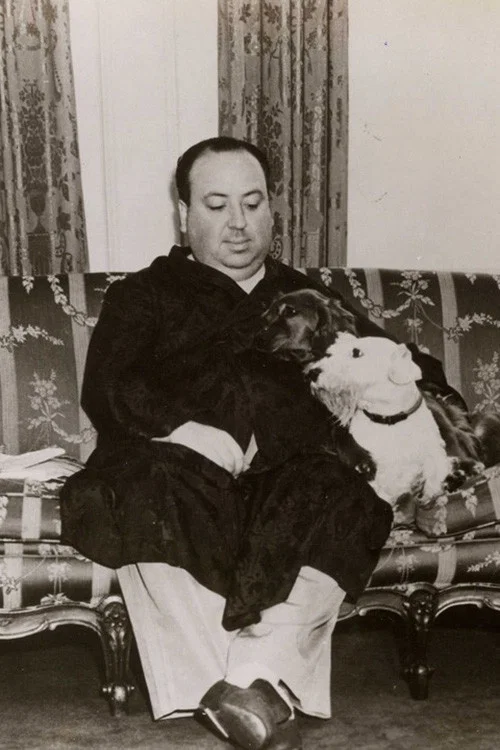 Постер: Hitch