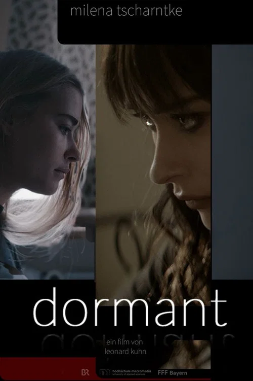 Постер: Dormant
