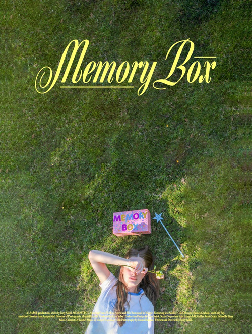Постер: Memory Box