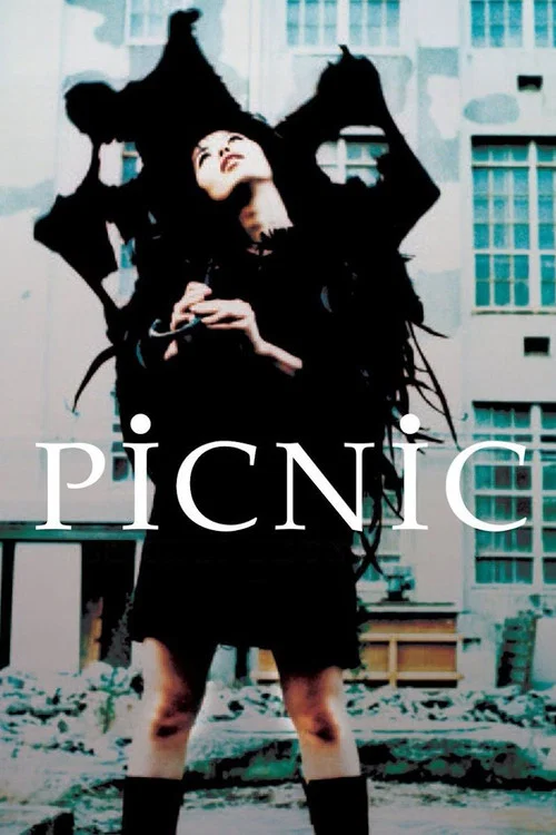 Постер: Picnic