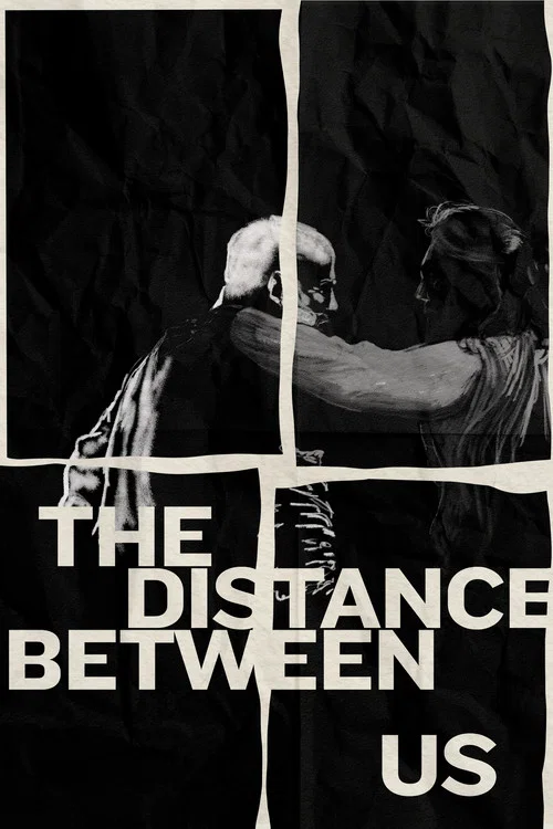 Постер: The Distance Between Us