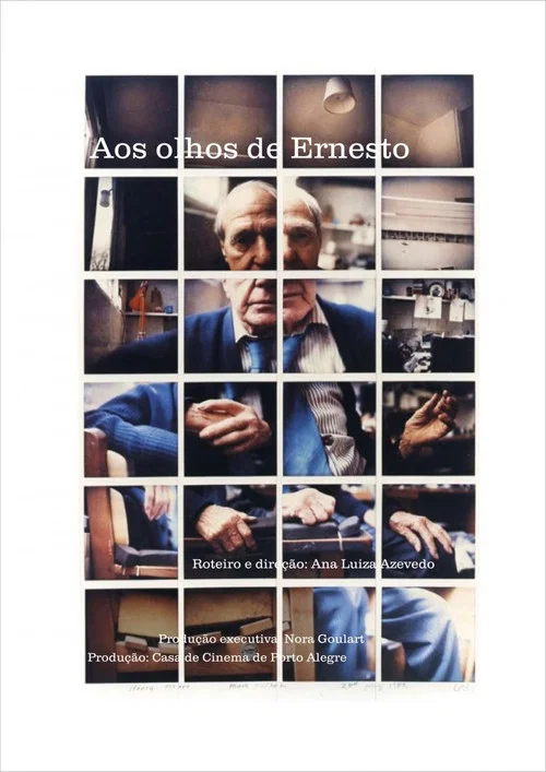 Постер: Aos Olhos de Ernesto (Through Ernesto's Eyes)