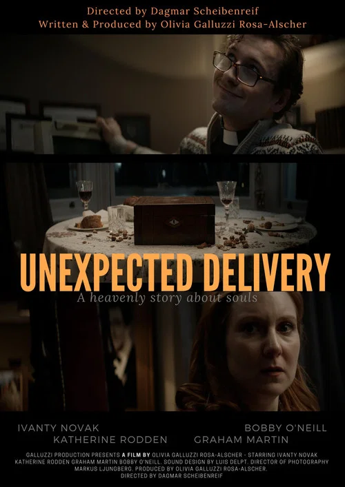 Постер: Unexpected Delivery