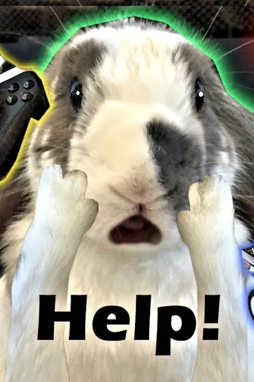 Постер: Rabbit Home Alone