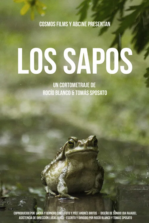 Постер: The Toads