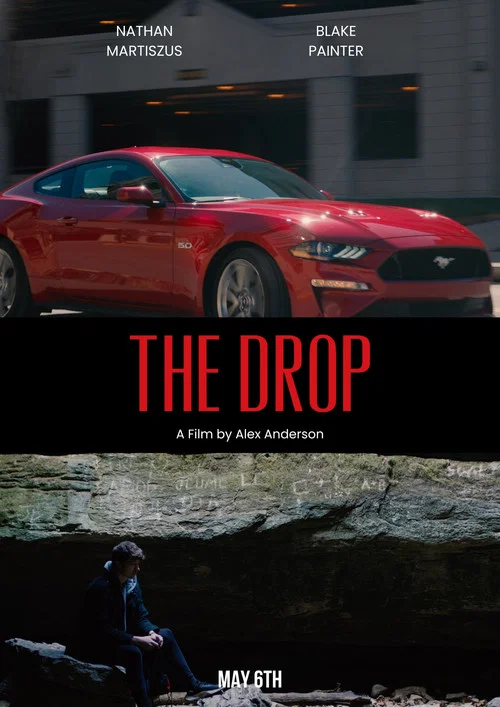 Постер: The Drop