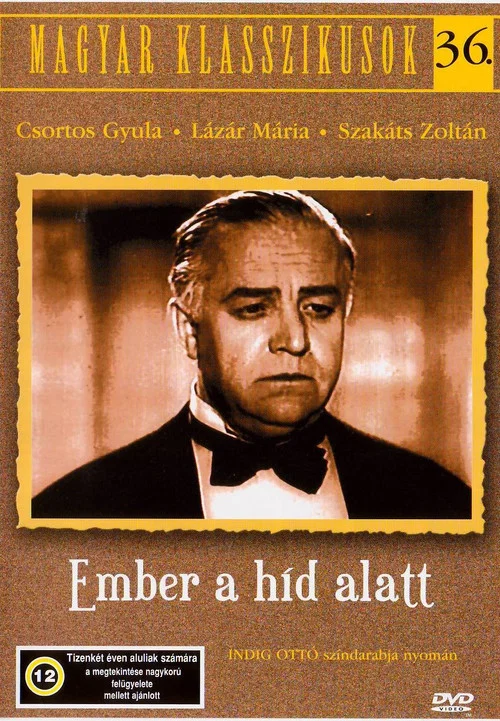 Постер: Ember a híd alatt