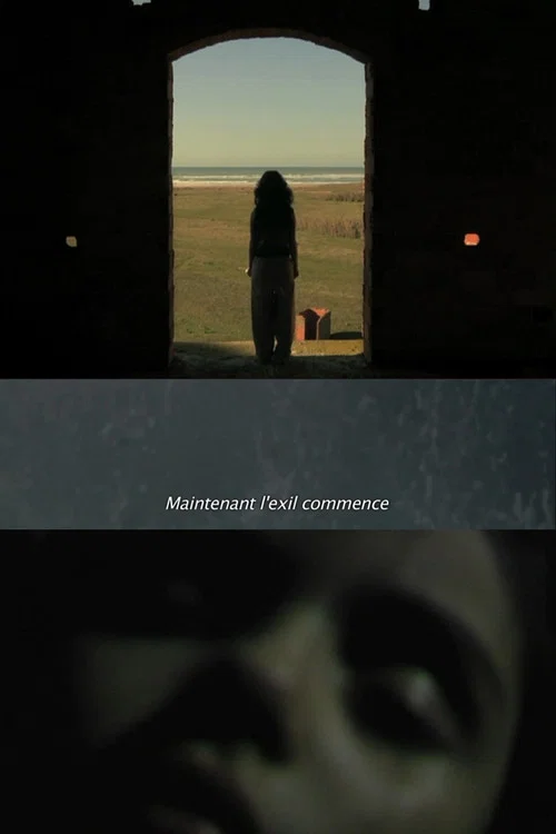 Постер: La Fièvre