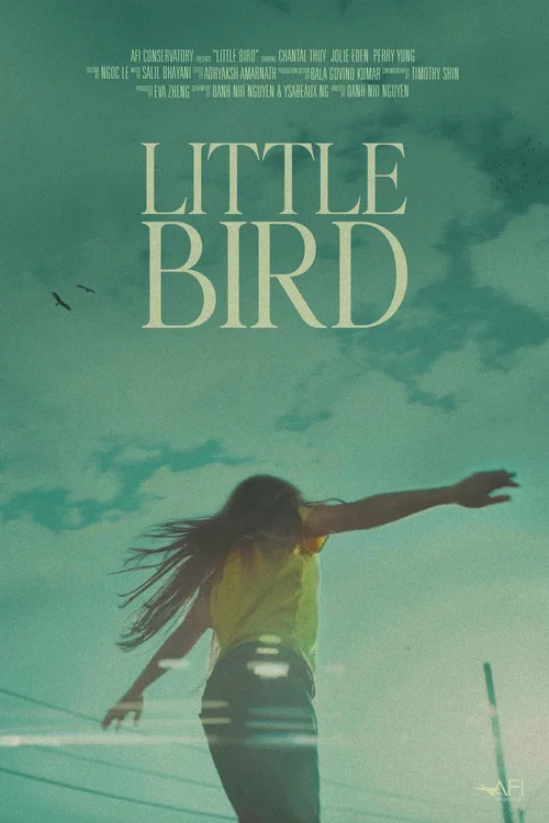 Постер: Little Bird